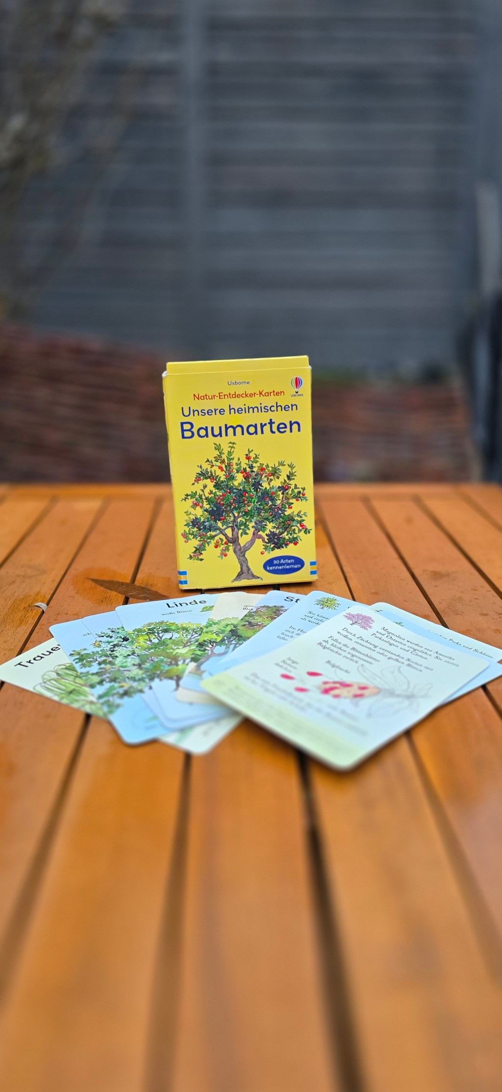 🌳 Mehr als nur grün: Kennst du die Bäume in deinem&nbsp;Wald?