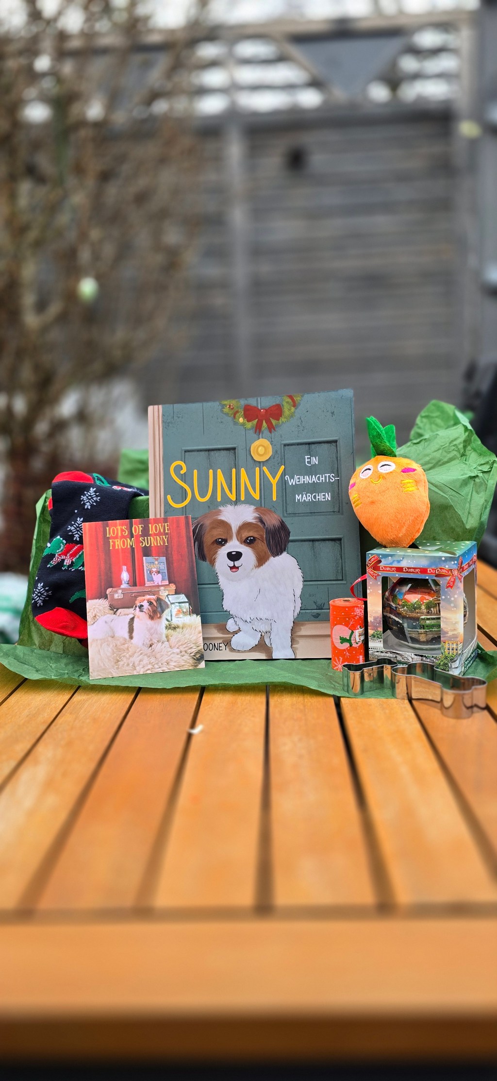 Sunny: Ein Weihnachtsmärchen über Mut und vier&nbsp;Pfoten