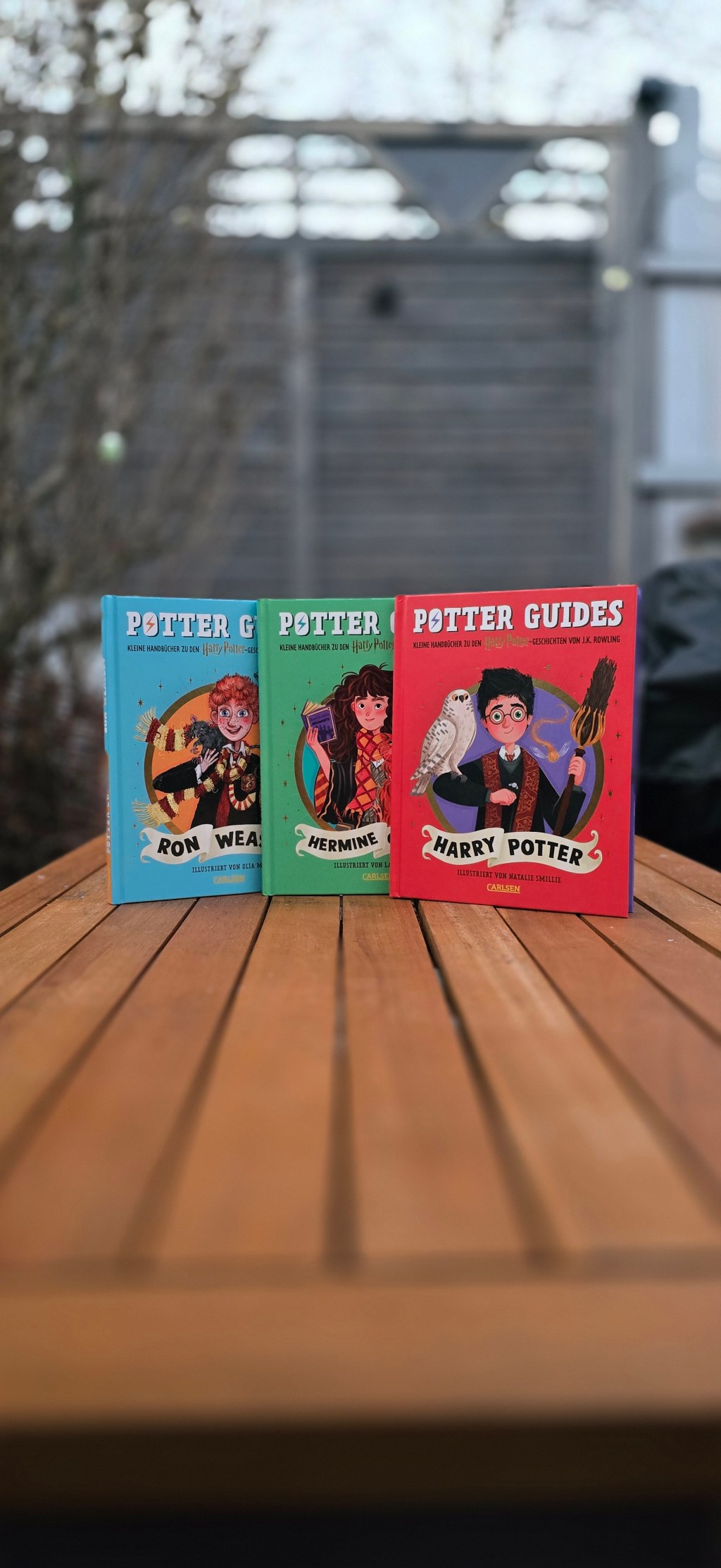 Die Potter Guides: Ein Blick in die Seelen von Harry, Hermine und&nbsp;Ron