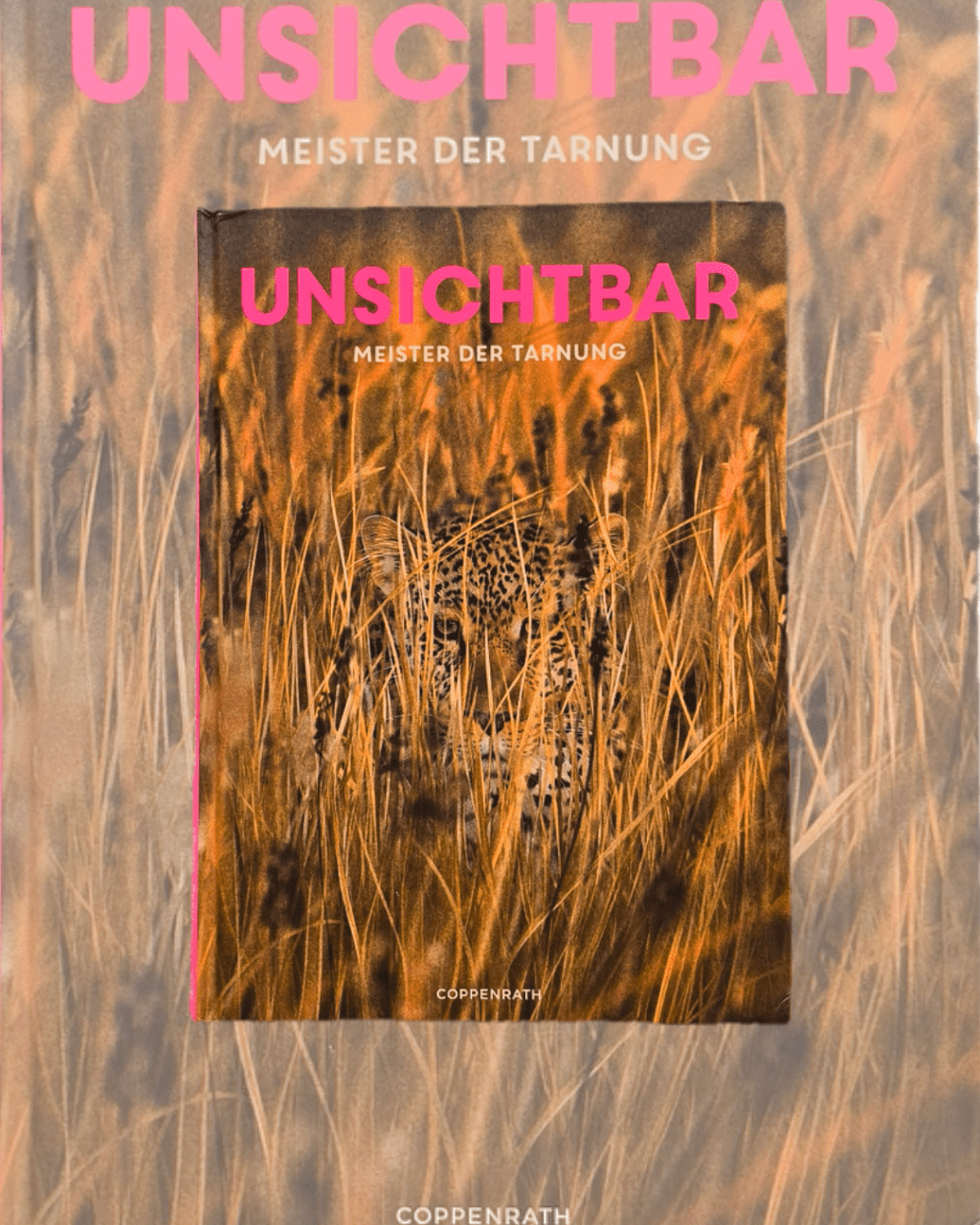 Unsere Natur ist bunt, vielfältig und … unsichtbar?!
